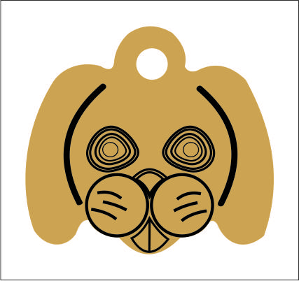 Placute identificare